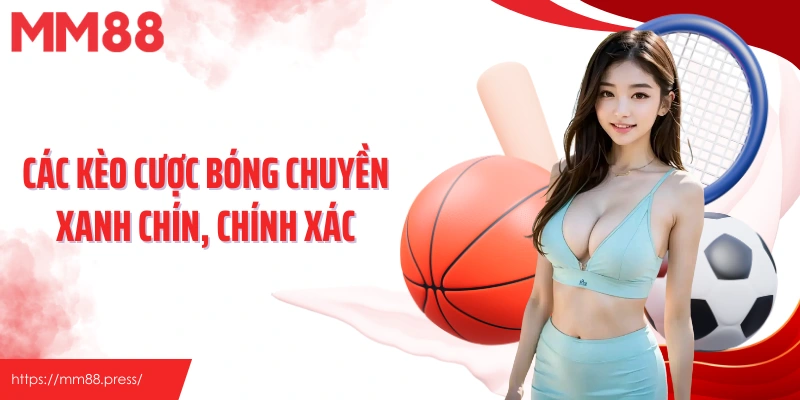 Các kèo cược bóng chuyền xanh chín, chính xác
